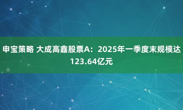 申宝策略 大成高鑫股票A：2025年一季度末规模达123.64亿元