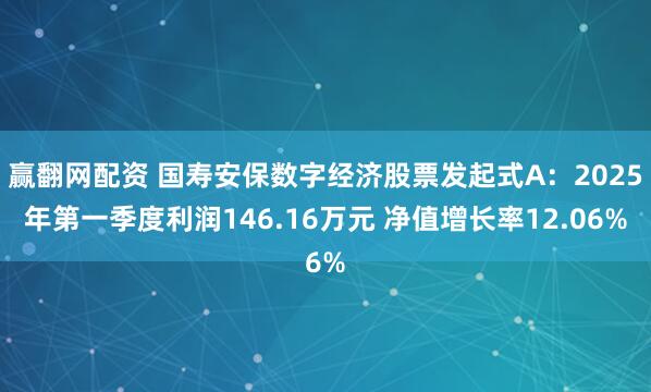 赢翻网配资 国寿安保数字经济股票发起式A：2025年第一季度利润146.16万元 净值增长率12.06%