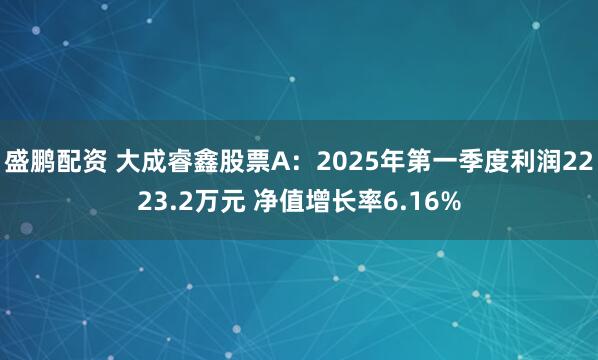 盛鹏配资 大成睿鑫股票A：2025年第一季度利润2223.2万元 净值增长率6.16%