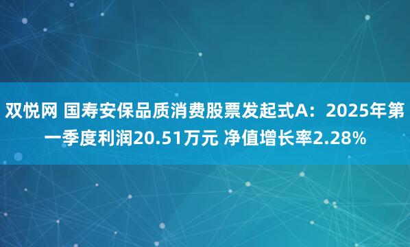 双悦网 国寿安保品质消费股票发起式A：2025年第一季度利润20.51万元 净值增长率2.28%