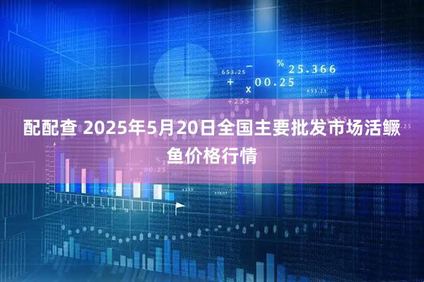 配配查 2025年5月20日全国主要批发市场活鳜鱼价格行情