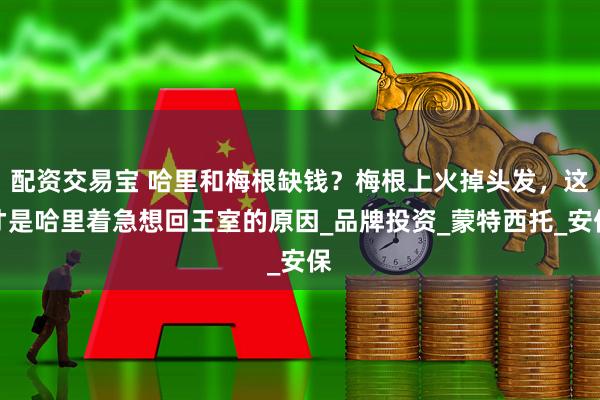配资交易宝 哈里和梅根缺钱？梅根上火掉头发，这才是哈里着急想回王室的原因_品牌投资_蒙特西托_安保