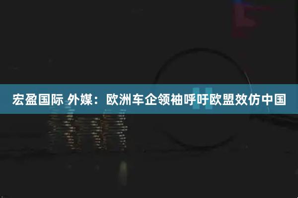 宏盈国际 外媒：欧洲车企领袖呼吁欧盟效仿中国