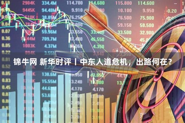 锦牛网 新华时评丨中东人道危机，出路何在？