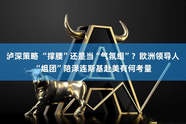 泸深策略 “撑腰”还是当“气氛组”？欧洲领导人“组团”陪泽连斯基赴美有何考量